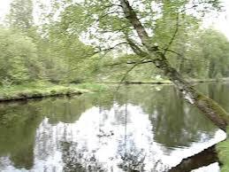 Hevingham Lake
