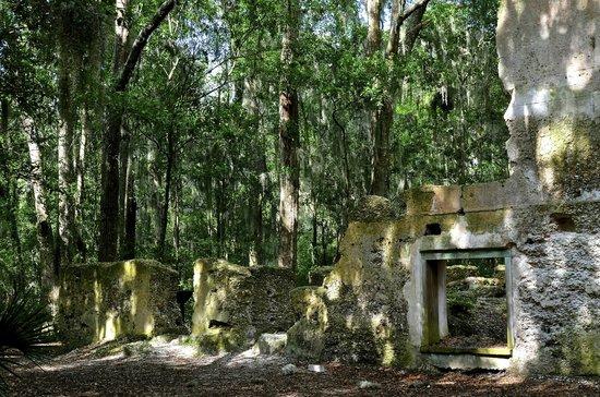 Baynard Plantation Ruins