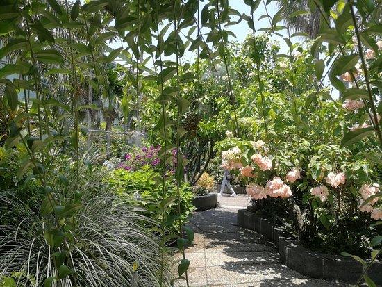 The Secret Garden Utama