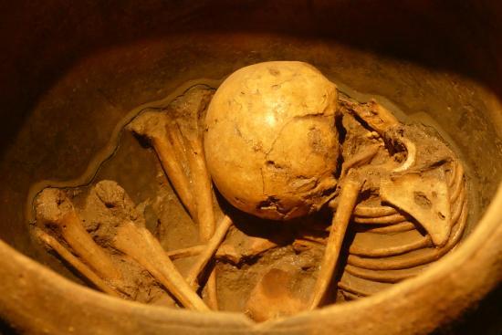 Fundação Museu do Homem Americano