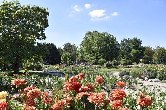 Höhenpark Killesberg