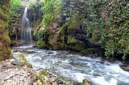 Pinarbasi Piknik Alani