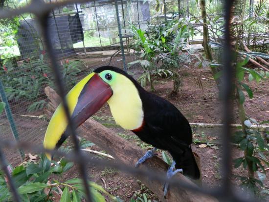 Summit Botanical Gardens