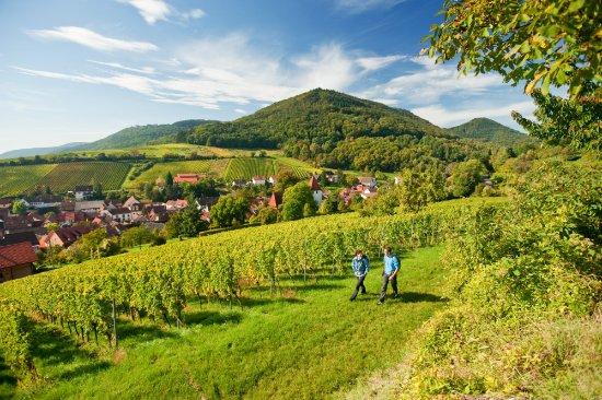 Parc national de l'Eifel