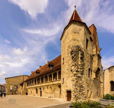 Chateau-Musee Henri IV