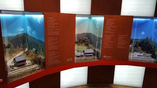 Waldgeschichtliches Museum St. Oswald