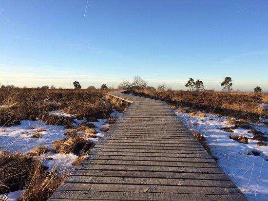 Domaine de Berinzenne