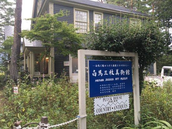 Musée des beaux-arts Hakuba Saegusa