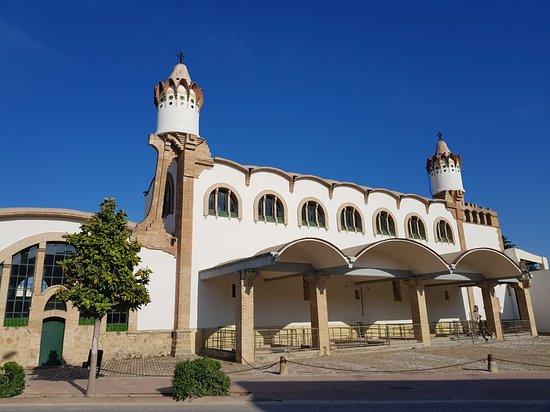 la Bodega Cooperativa de Gandesa
