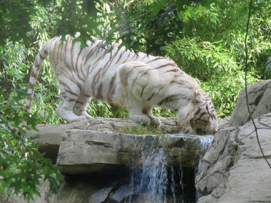 Zoo La Boissière du Doré
