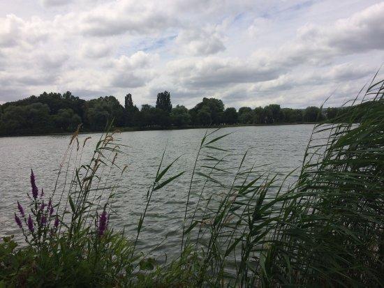 Parc de Brieux