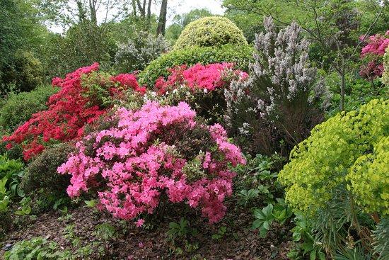 Jardin François