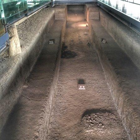 Hongshan Historical Site Museum