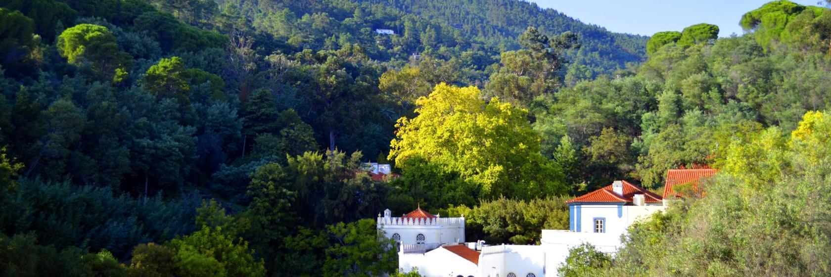 Aguas termales Caldas de Monchique