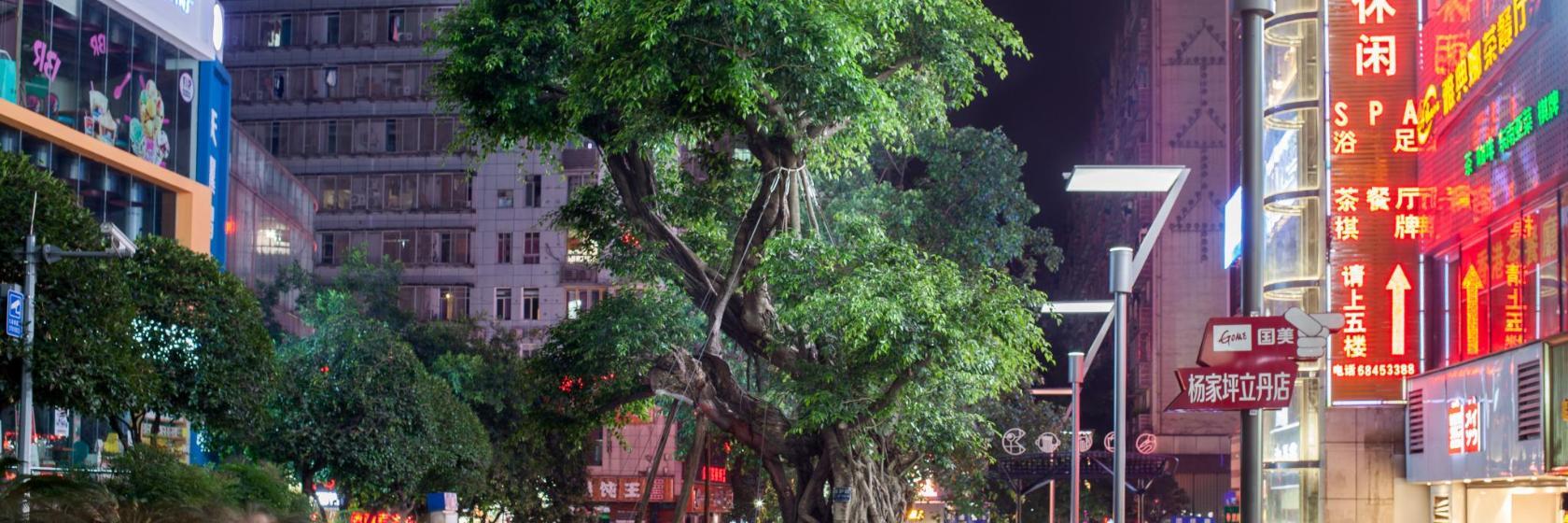 Yang Jia Ping Pedestrian Street