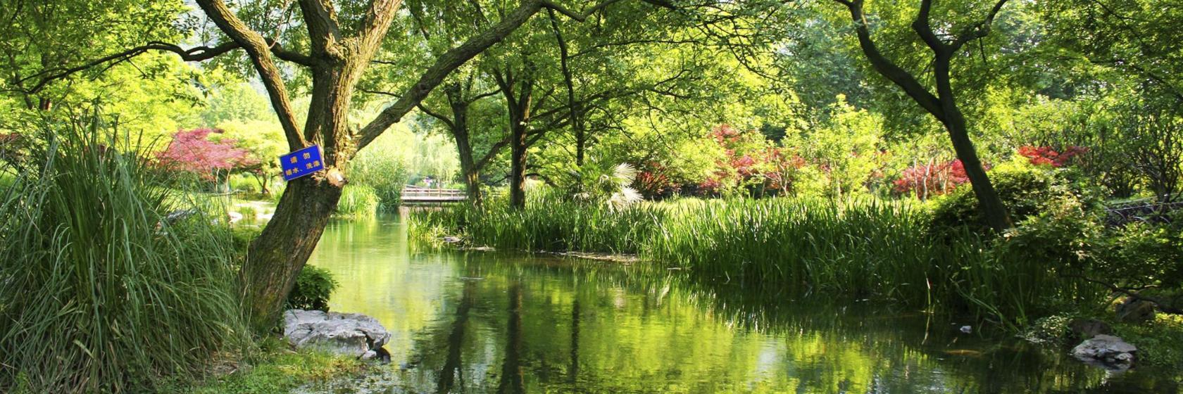 Parque Nacional de los Humedales de Xixi