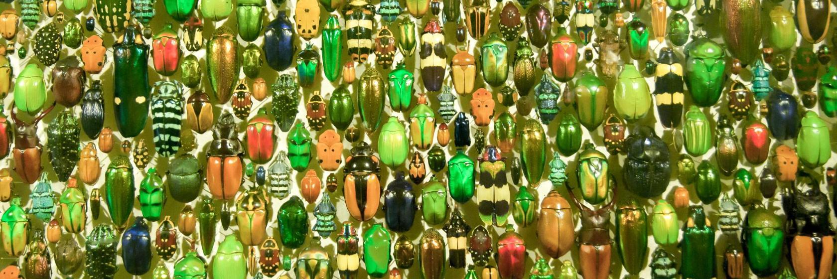 Insectarium de Montréal