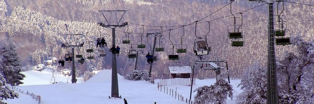 Telesilla de Winterberg