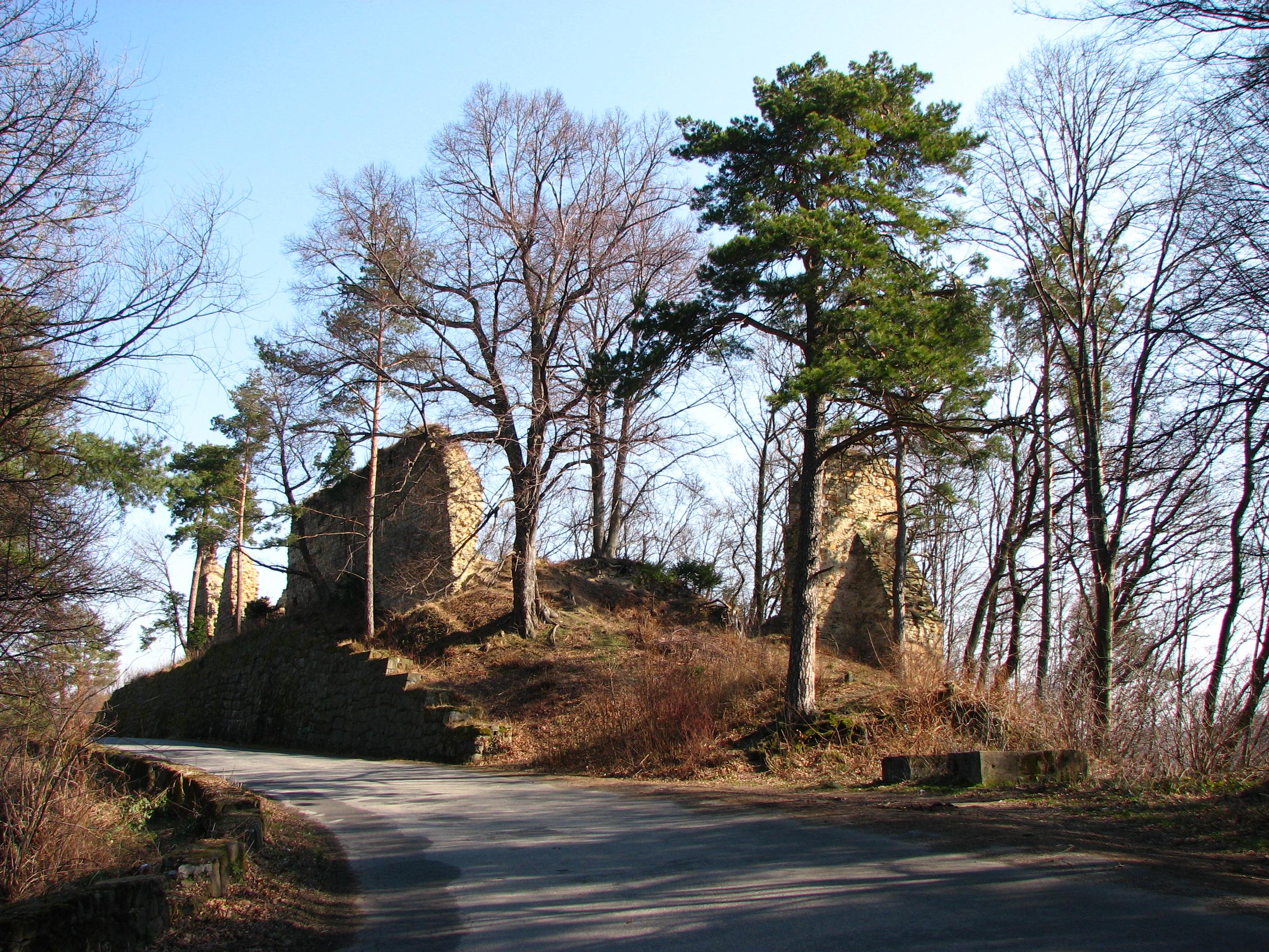 Roznow Castle