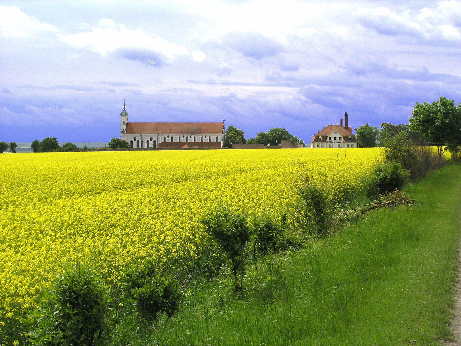Schlacht von Elchingen