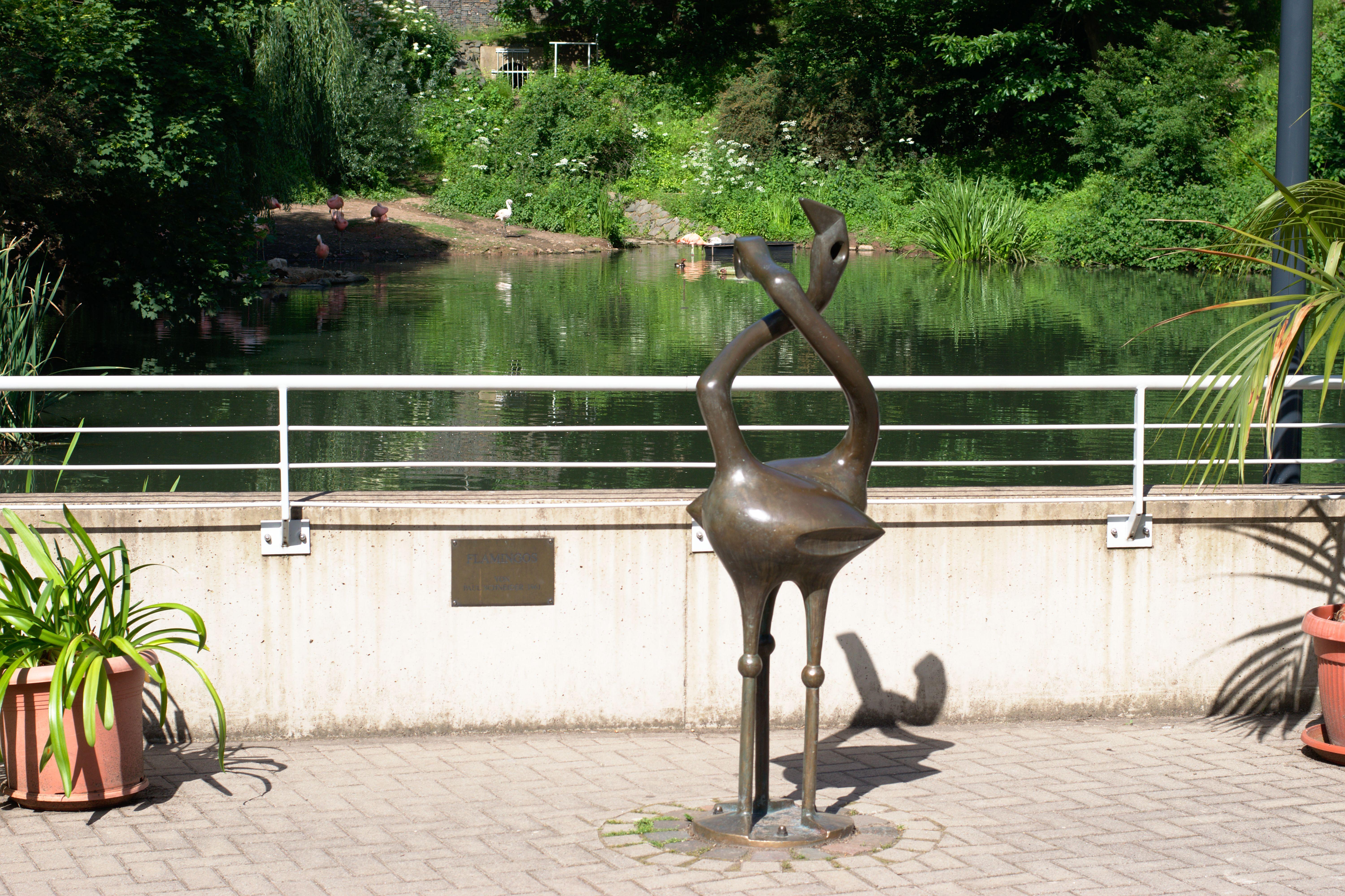 Flamingos