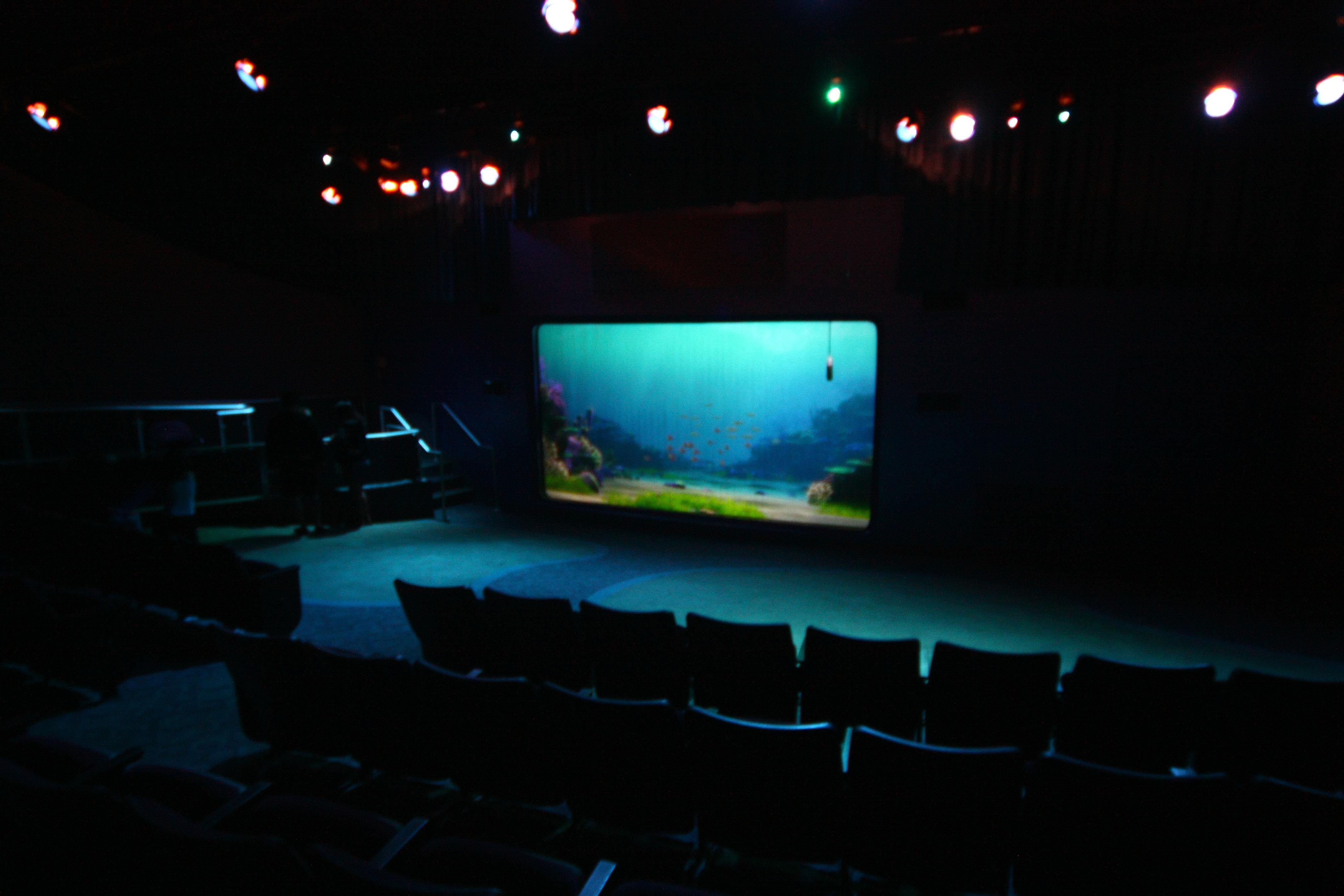 Turtle Talk with Crush