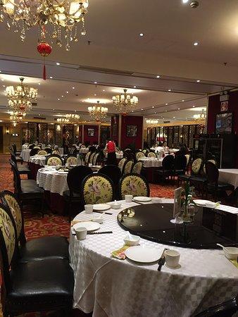 ShangHai 1Hao SiZang Cai