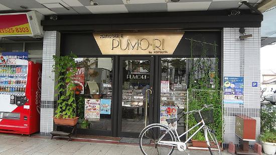 Pumori