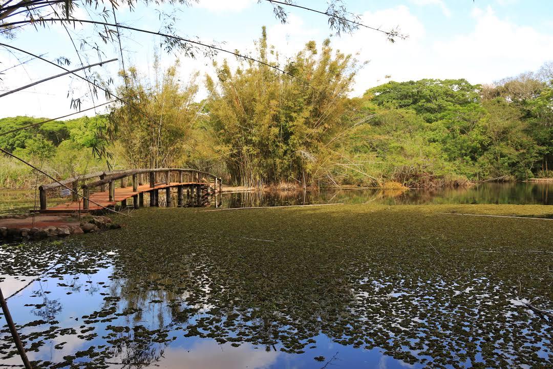 Botanical Gardens of Porto Alegre
