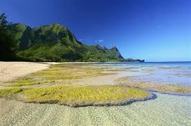 Tunnels Beach
