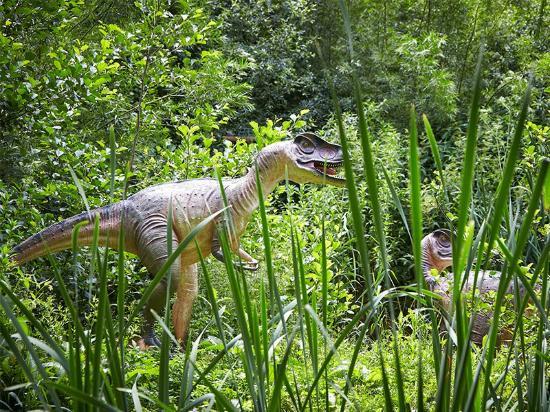 Birdland Park and Gardens