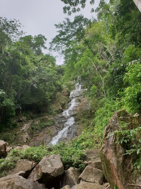 Mayflower Bocawina National Park