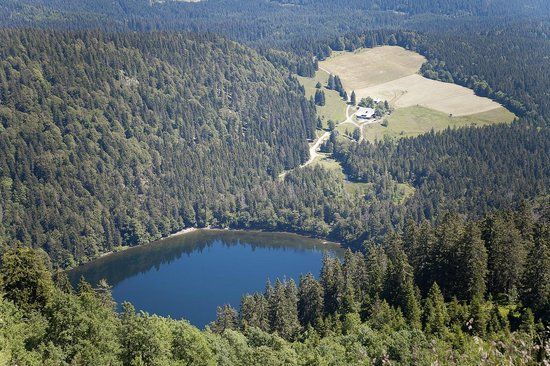 Feldberg