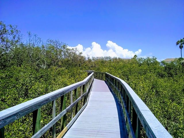 Indian Rocks Beach Nature Preserve