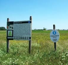 Ásotthalmi láprét