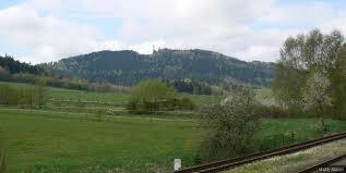 Zvičina