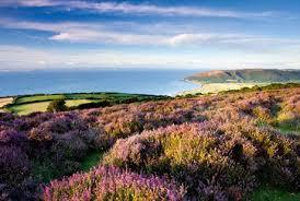 Quantock Hills
