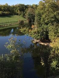 Le Voua Bénit
