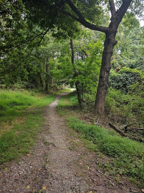 Core Creek Park