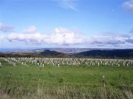 Brendon Hills