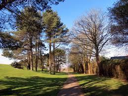 Ravenhill Park