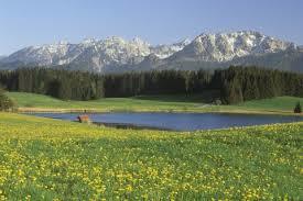 Attlesee