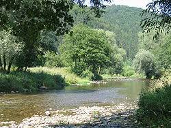 Rajcanka