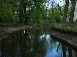 Wierzyca