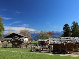 Tierwelt Rainguthof