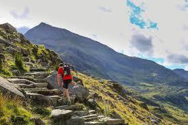 Pyg Track