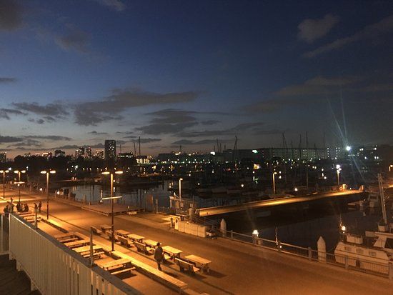 Tokyo Yumenoshima Marina