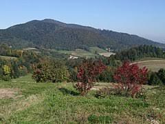 Ciecień