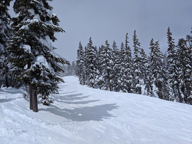 Centrum narciarskie Mount Hood Meadows