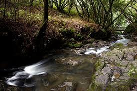 Wildcat Creek